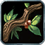 Eye of the Fallen Tree